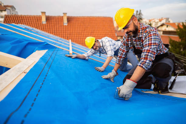 Best Roof Gutter Cleaning  in Harbor Isle, NY